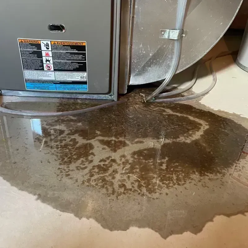 Appliance Leak Cleanup in Hamlin, WV